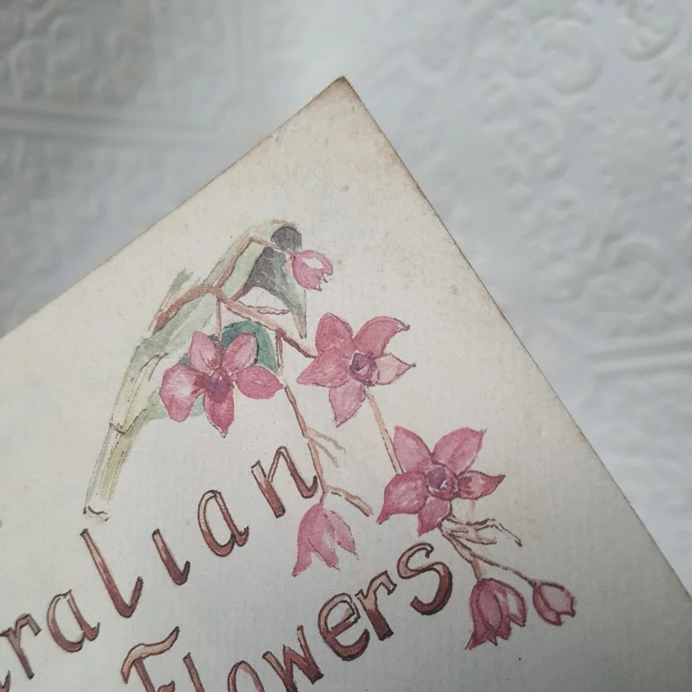 Vintage AUSTRALIAN WILDFLOWERS ADDRESS AND PHONE BOOK Mary Edwards Floral Art